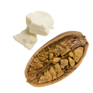ingredient-shea_butter_and_baobab_fruit_pulp_extract.png