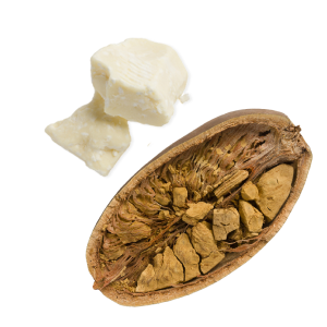 Ingredients-shea_butter_and_baobab_fruit_pulp_extract.png