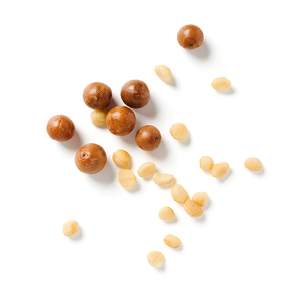 ingredient-macadamia.png