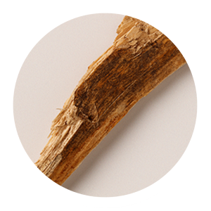 larch-wood-extract.png