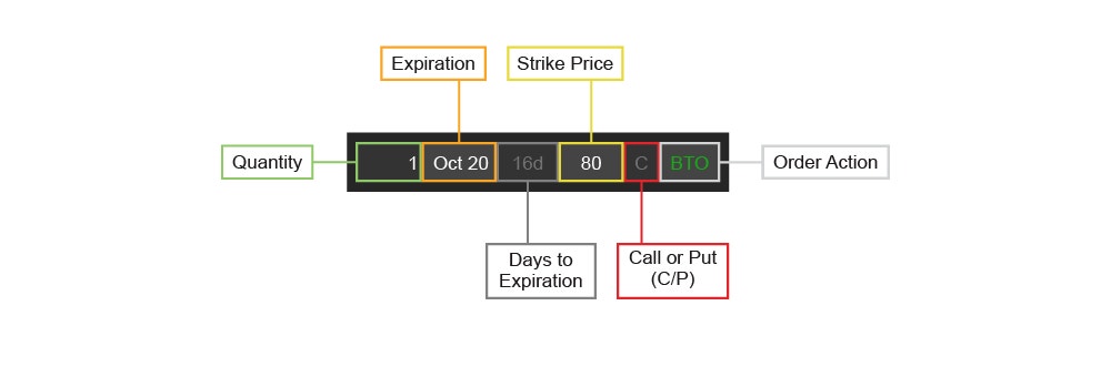 Long Call Options Anatomy