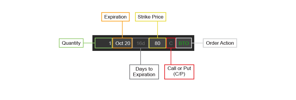 Long Call Options Anatomy