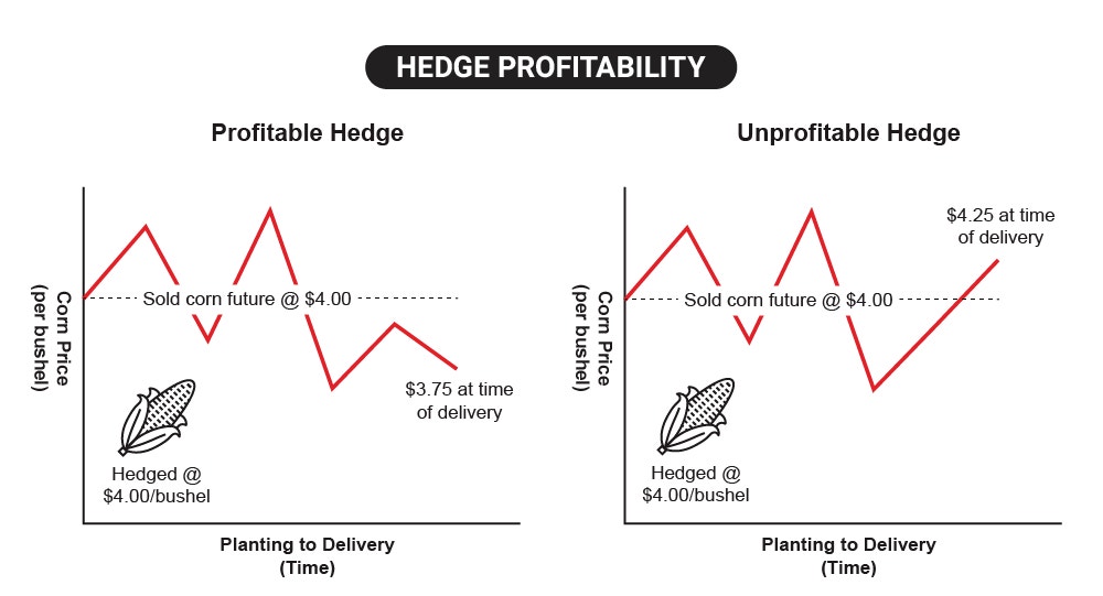 TT1652_hedge-profitability01.png