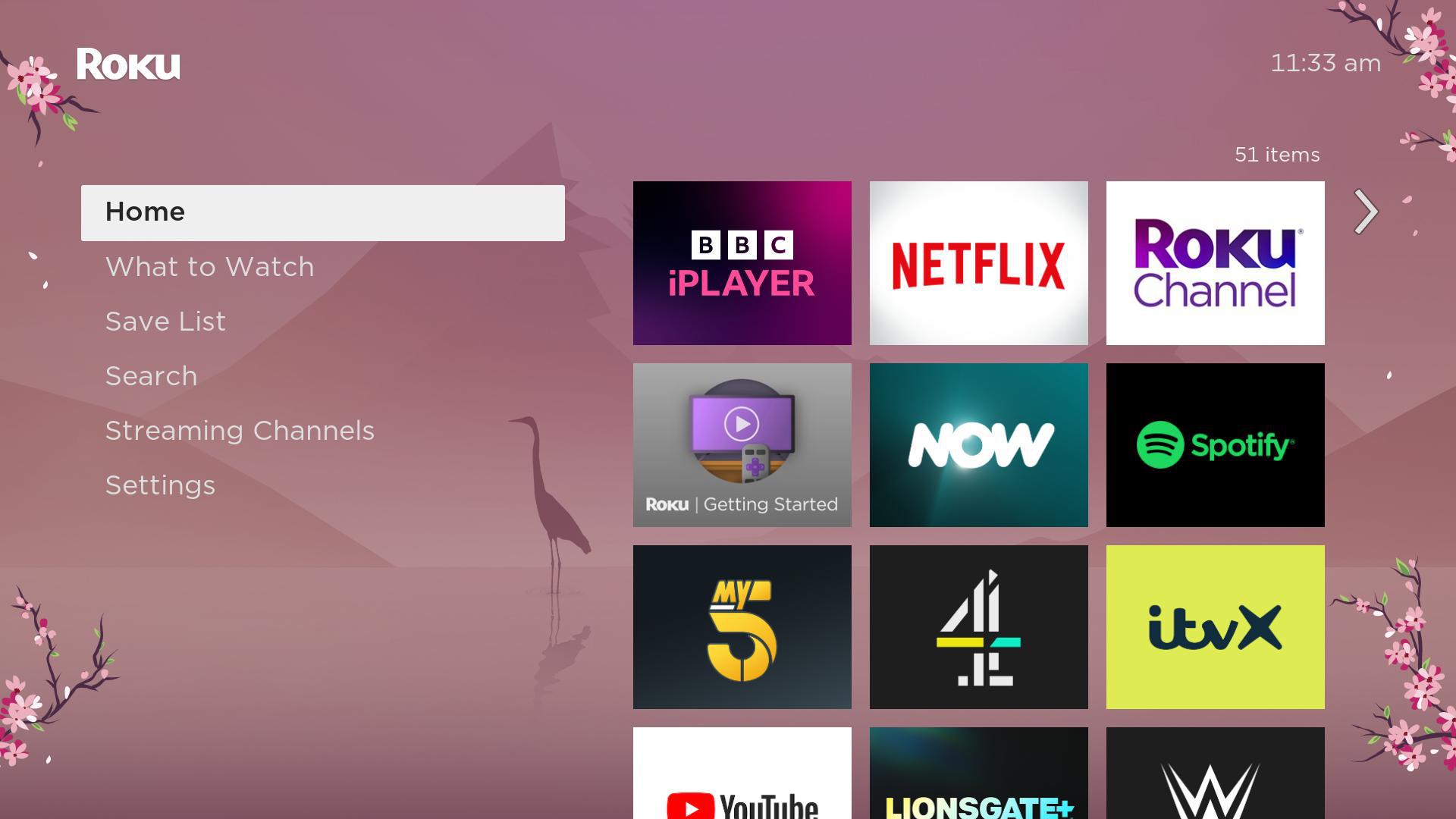 What to watch on the Roku TV?