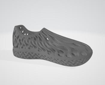 Print this Shoe