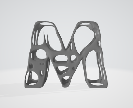 print this shoe