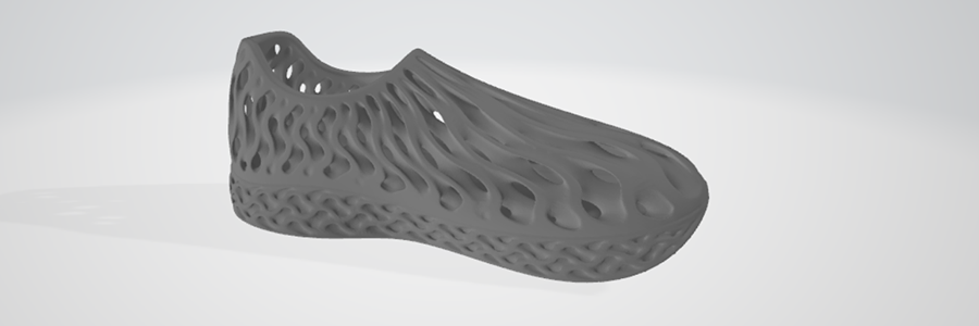 Print the Shoe