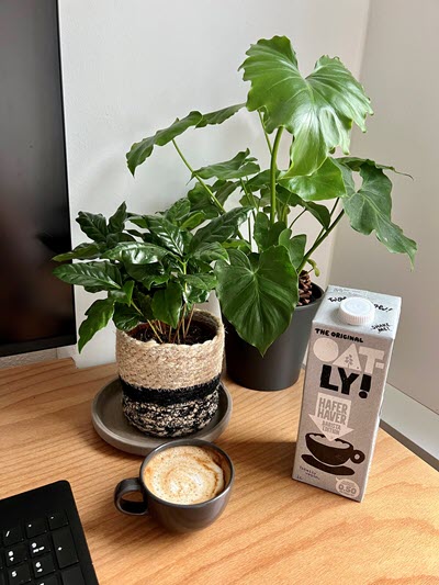 blog-ele-veganuary-11-oatly.jpg
