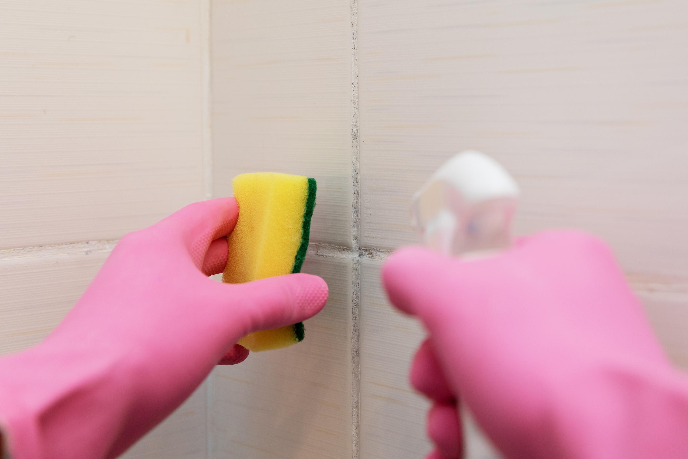 Spray Anti-moisissure Dans Le Coin Avec Le Plafond Pour L'élimination Des  Moisissures