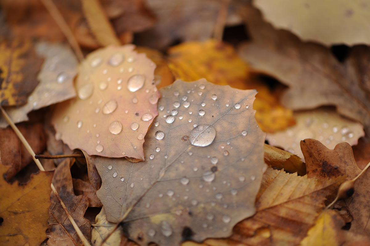 Blog Max 7 Tipps für bessere Fotos (5 klein).jpg