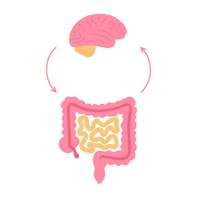 pillar-magen-darm-stress-02.jpg
