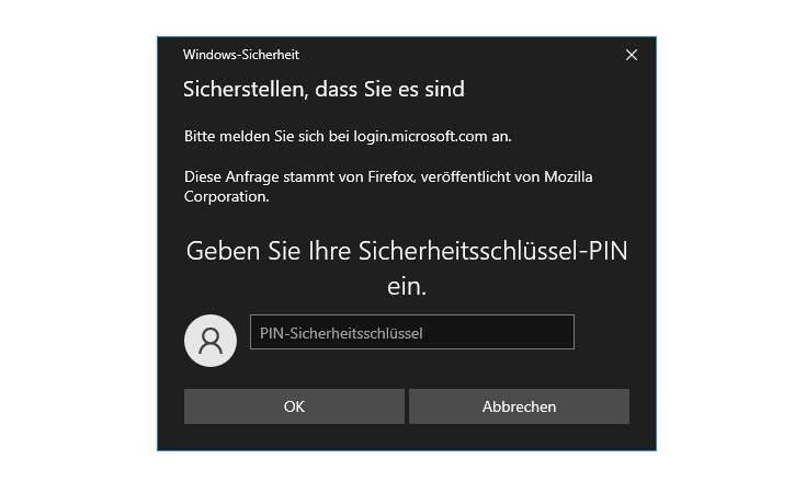 Anmeldung_Microsoft.jpg