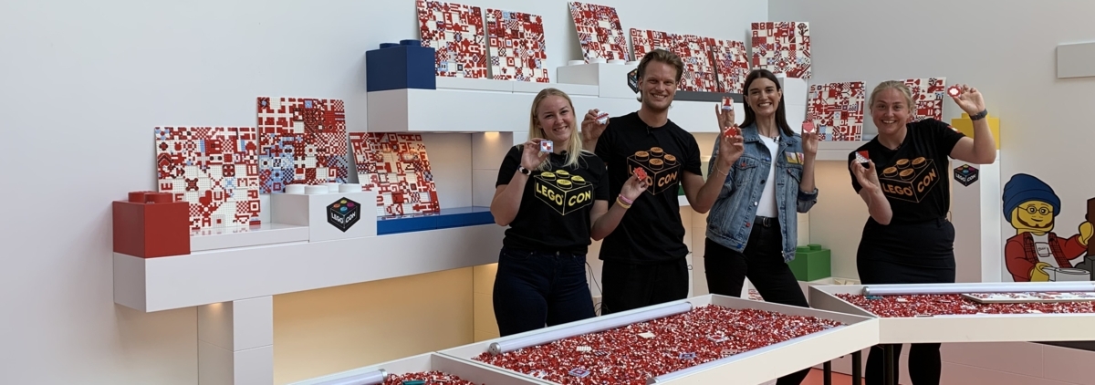 DOT Lego House resize.jpg