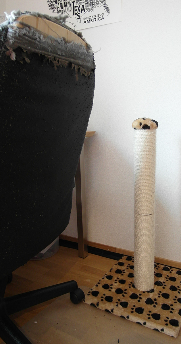 Bürostuhl und Kratzbaum_domp.jpg