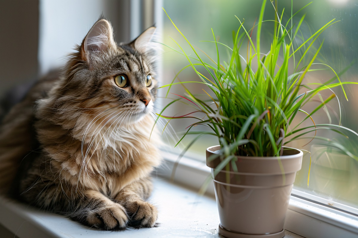 AdobeStock_845623532.jpeg