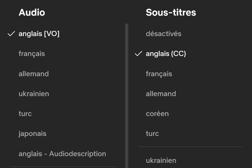 blog-2026-duy-netflix-hacks-2-fr.jpg