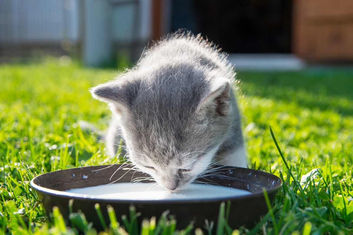 AdobeStock_111499720.jpeg