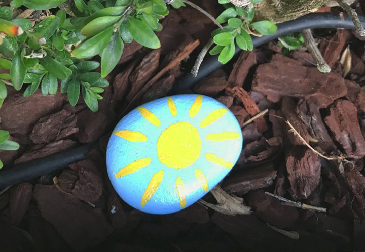 sonne.jpg