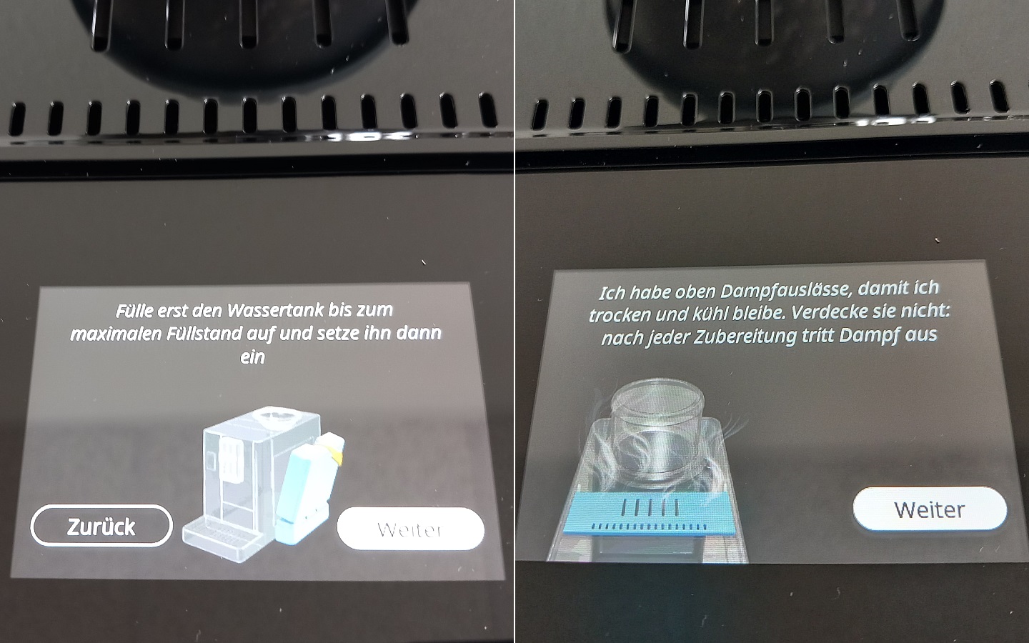 blog-flu-test-delonghi-rivelia-display-anweisungen.jpg