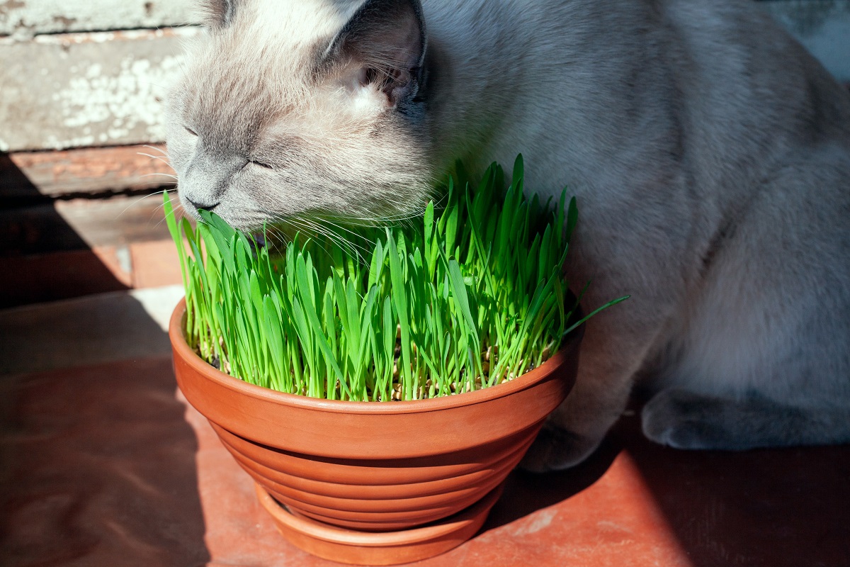 AdobeStock_509312751.jpeg