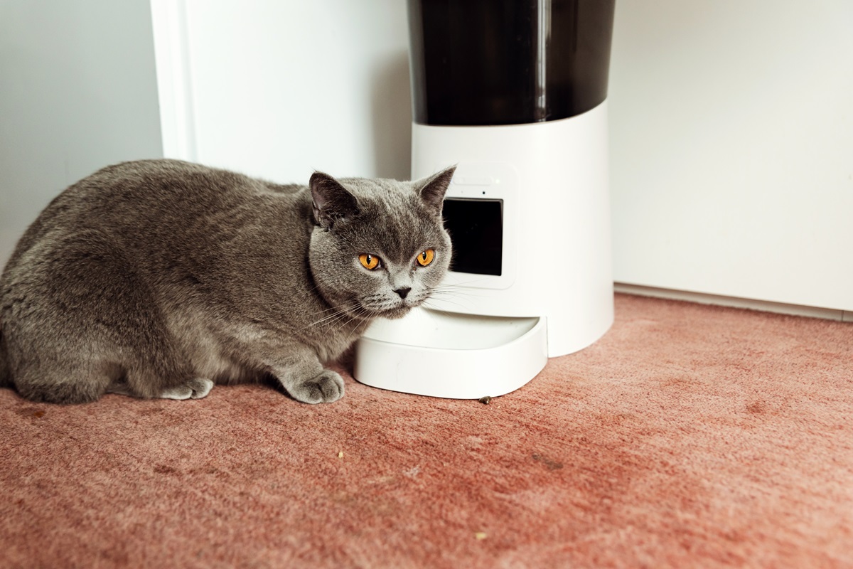 AdobeStock_604972526.jpeg