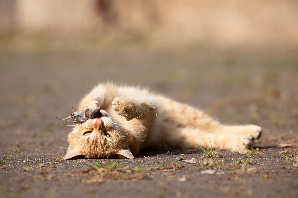 AdobeStock_513033350.jpg