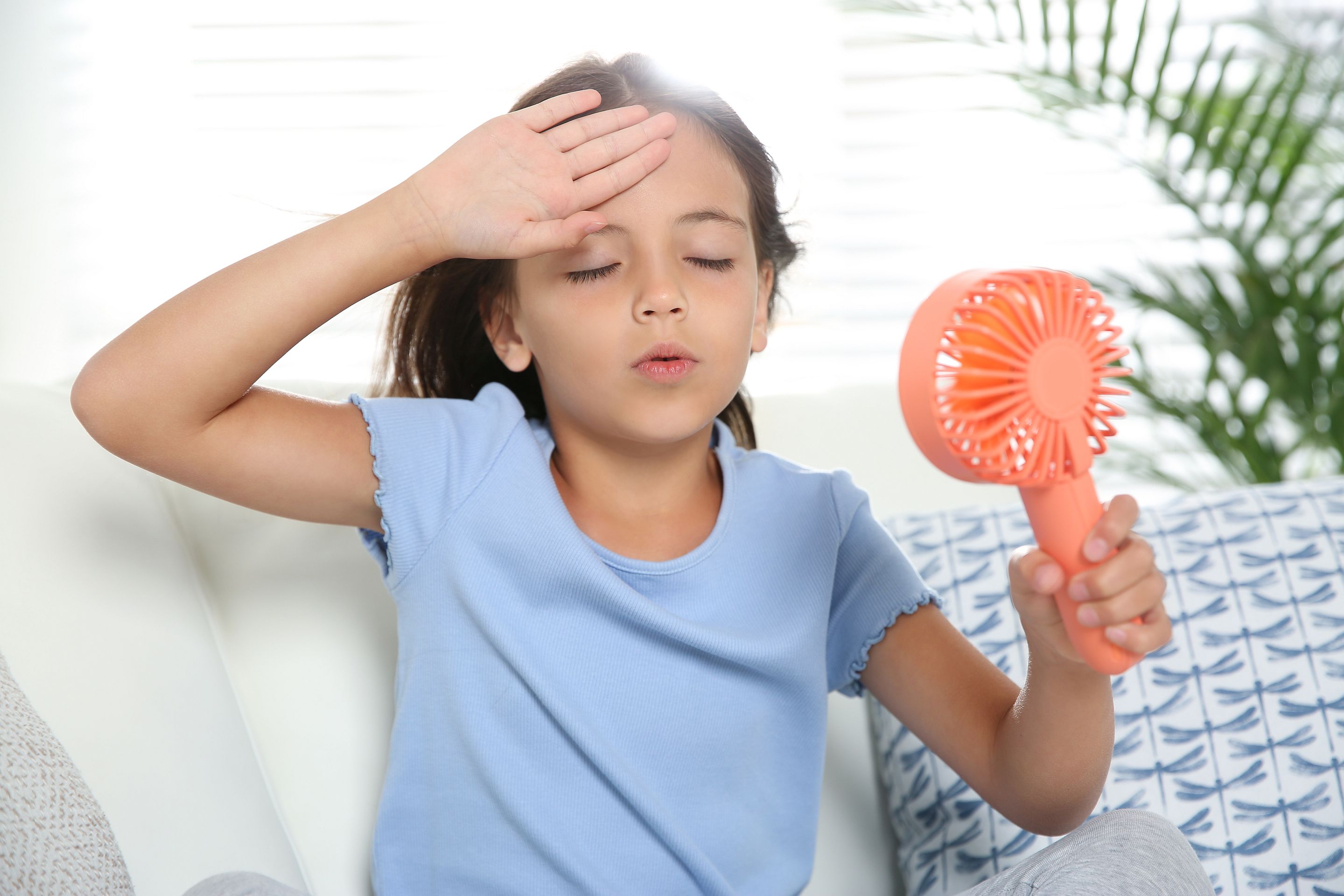 Bon à savoir sur les ventilateurs