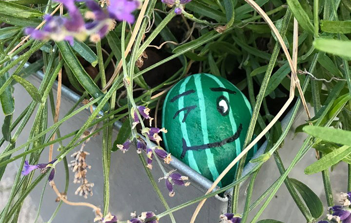 wassermelone_Stein.jpg