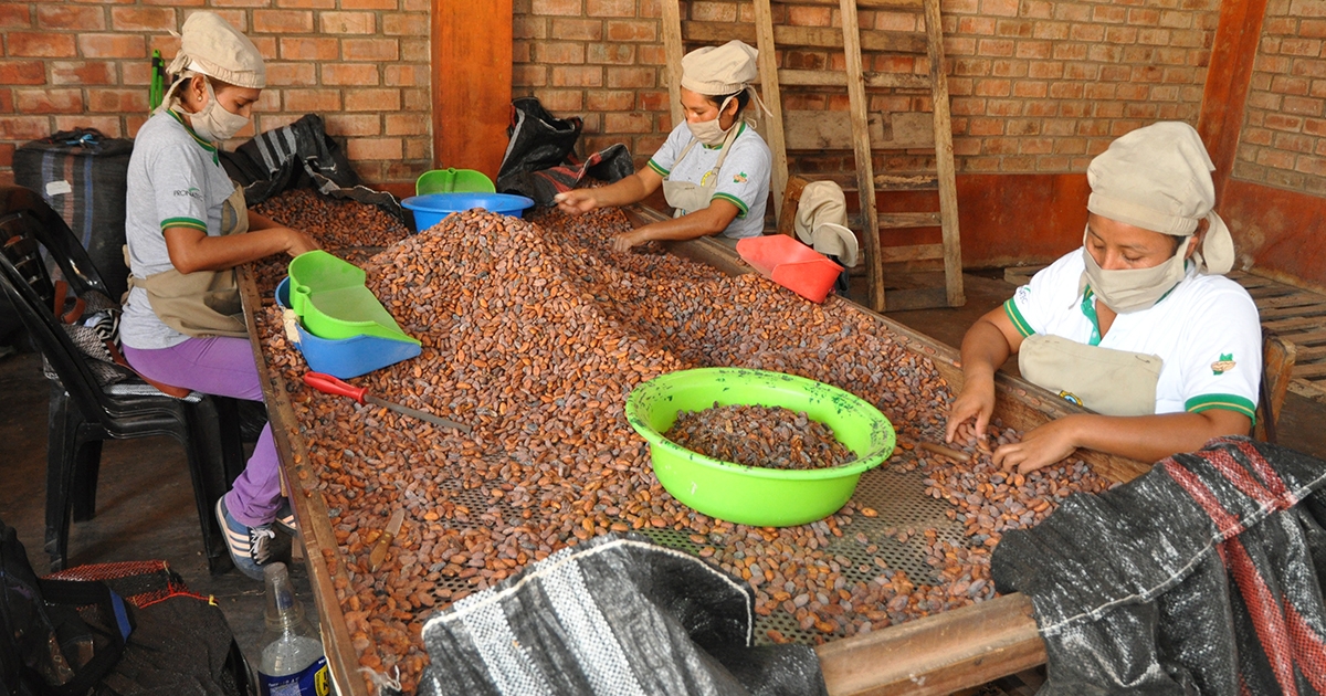 Kleinebauern aus Peru_1200x630.jpg