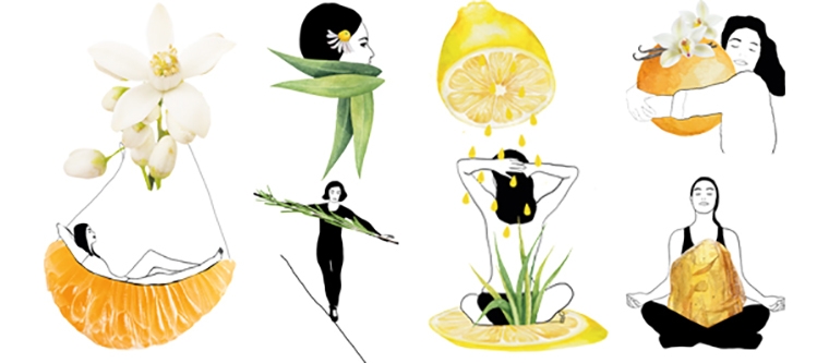 blog-ado-farfalla-citrus.jpg