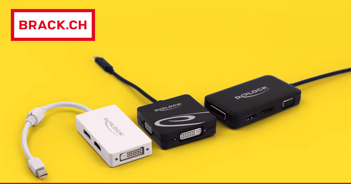 Delock Multi-Videoadapter