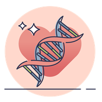 Bluthochdruck (Hypertonie) Risikofaktor Genetik