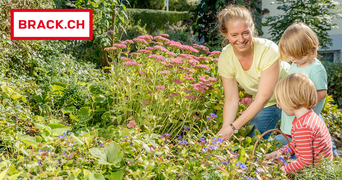 Naturgemäss gärtnern mit Neudorff