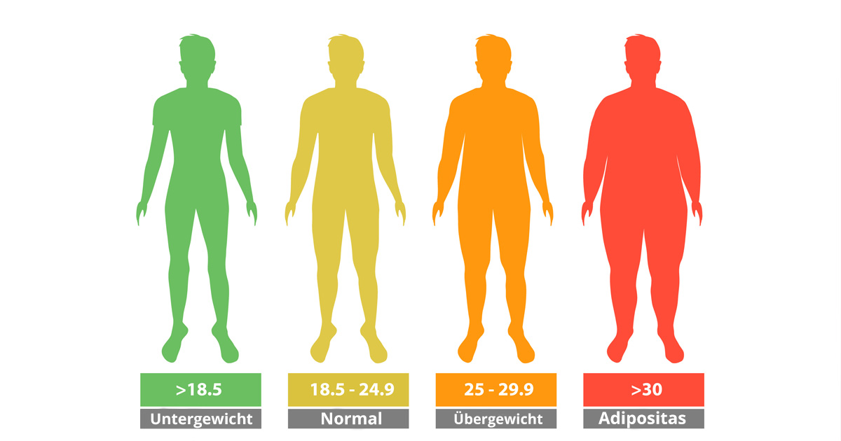 Koerperanalysewaage_Messwerte_BMI_DE.jpg