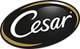 cesar_logo_new_2.png