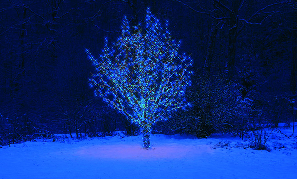 Outdoor-Lichterketten für die perfekte Wohlfühlstimmung