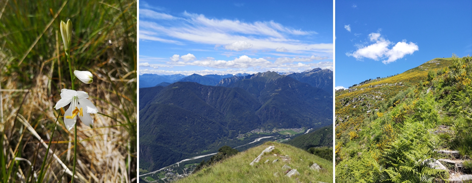 blog-ado-xiaomi-amazfit-wanderung.jpg