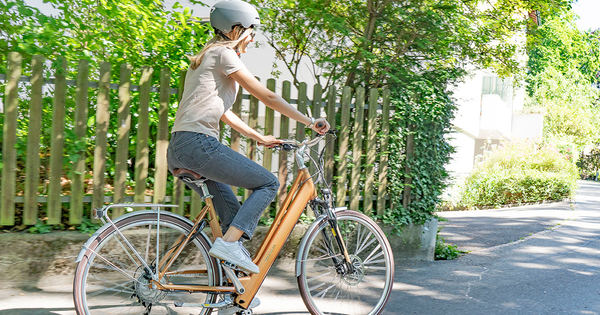 Batterie de vélo électrique 36 Volts 320 Wh,avec sac et clé de contact