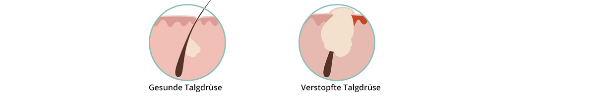 icons_zusammen.jpg