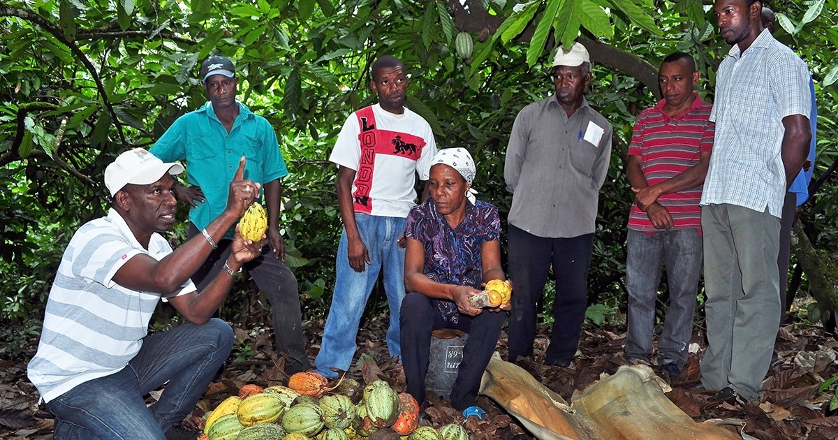 Yaco teaching farmers_1200x630.jpgé