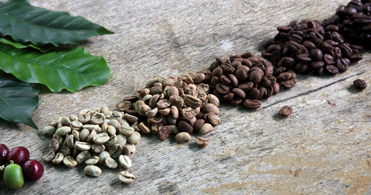 DenpassendenKaffeefinden_Röstung_1200x630.jpg