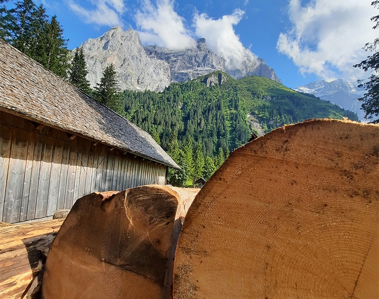 Zollhaus Holz Detail QUER.jpg