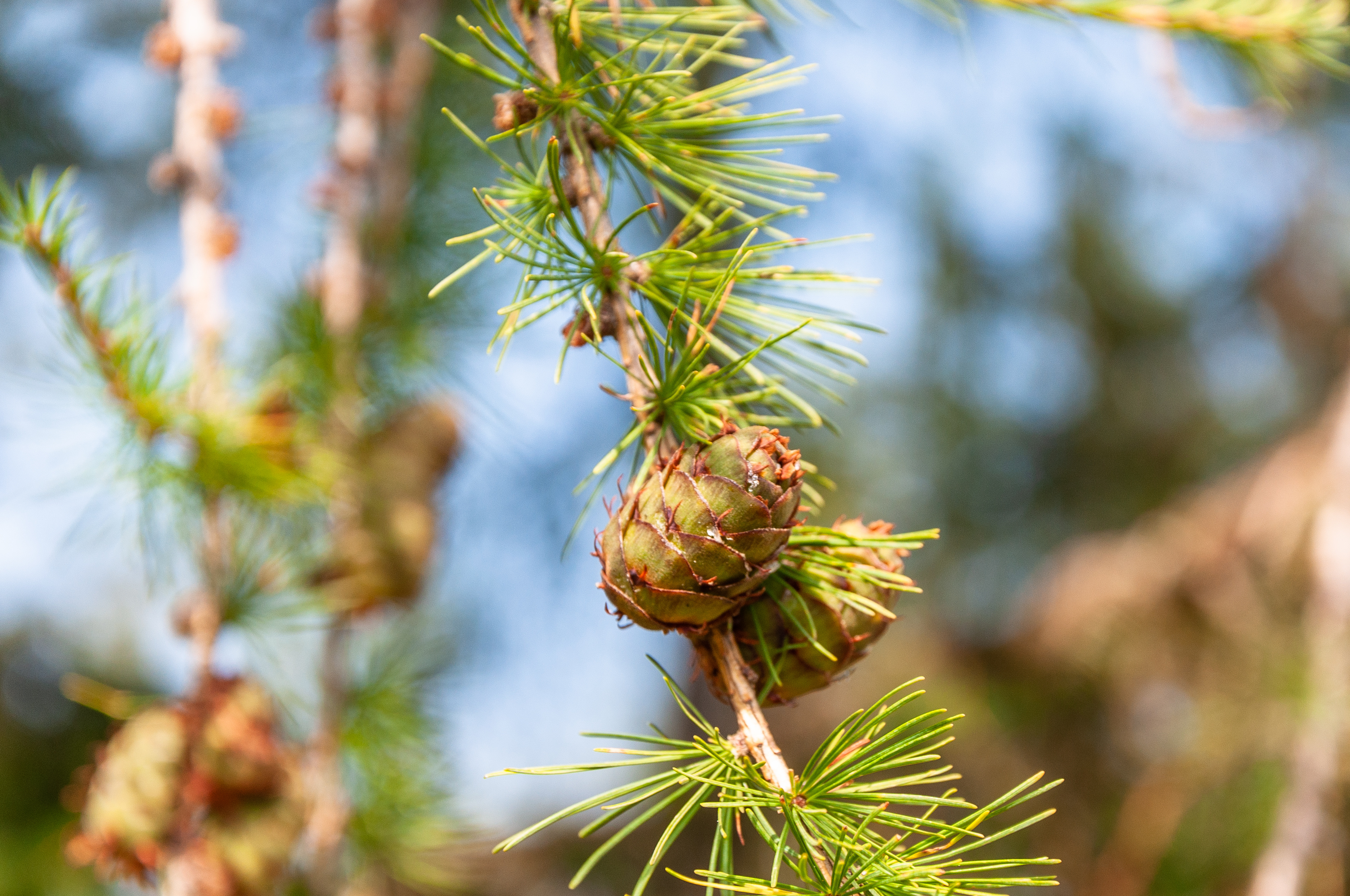Arve_AdobeStock_257984812.png