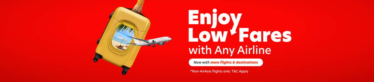 Enjoy low fares with any airline