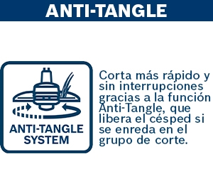 Icono 2