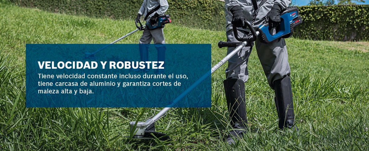 Imagen carrusel 1 desktop