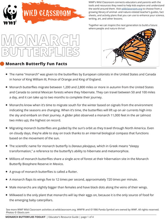 Printables Monarch Butterflies Fun Facts HP® Official Site