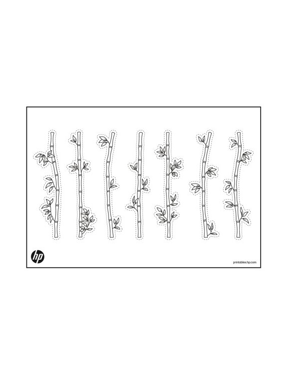 dracaena zimmerpflanze pflege Tipps zur Pflege deiner Pflanze : Dracaena Marginata – PflanzenFuerAlle main image 1