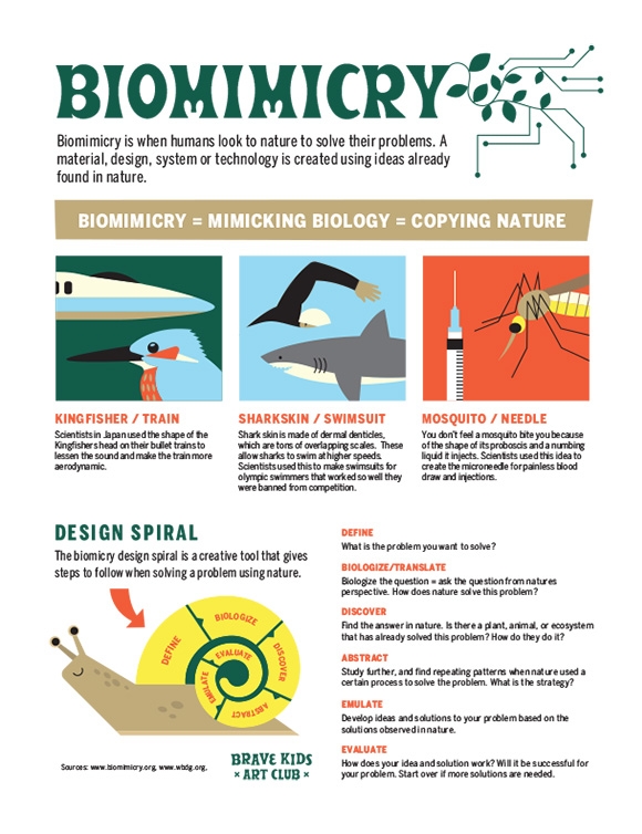 Printables - Biomimicry | HP® Official Site