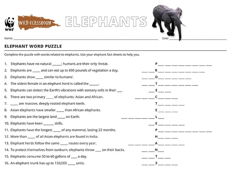 Printables - Elephant | HP® New Zealand